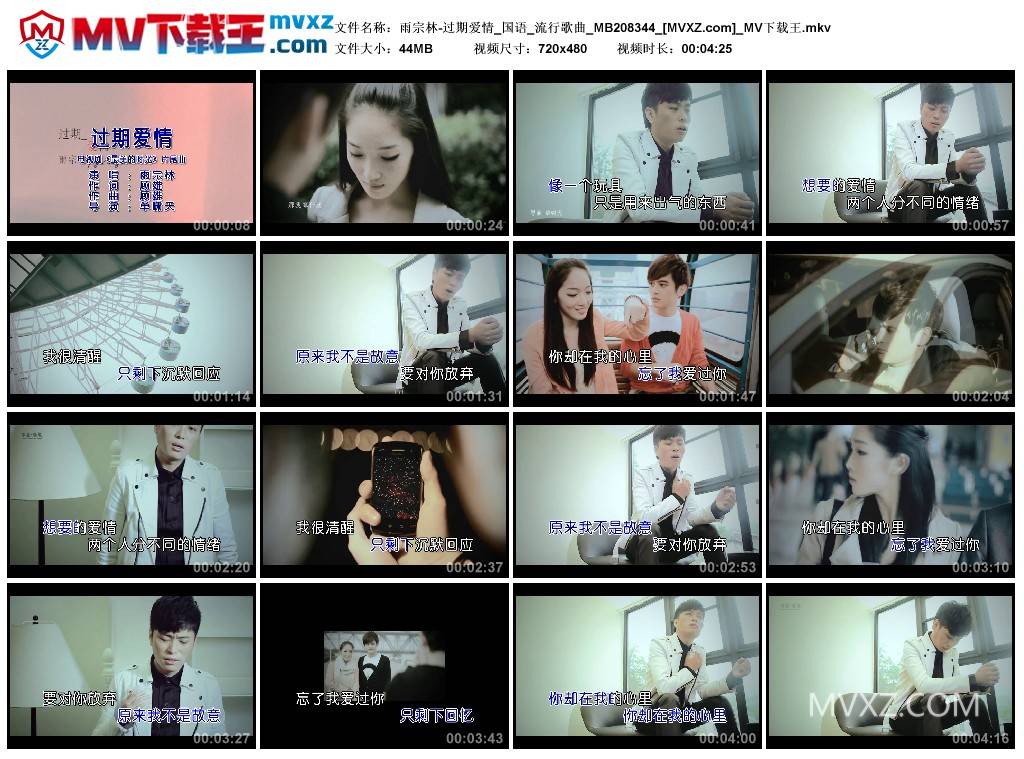 雨宗林-过期爱情_国语_流行歌曲_MB208344